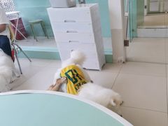 -怪兽屋·羊驼·猫咖·狗咖(俊华广场店)