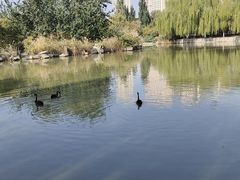 -南翠屏公园