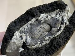 -泽田本家·铜锣烧(环贸店)