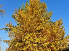 -辽宁大学(崇山校区)