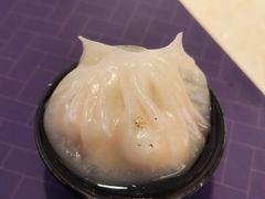 -点都德·毕德寮