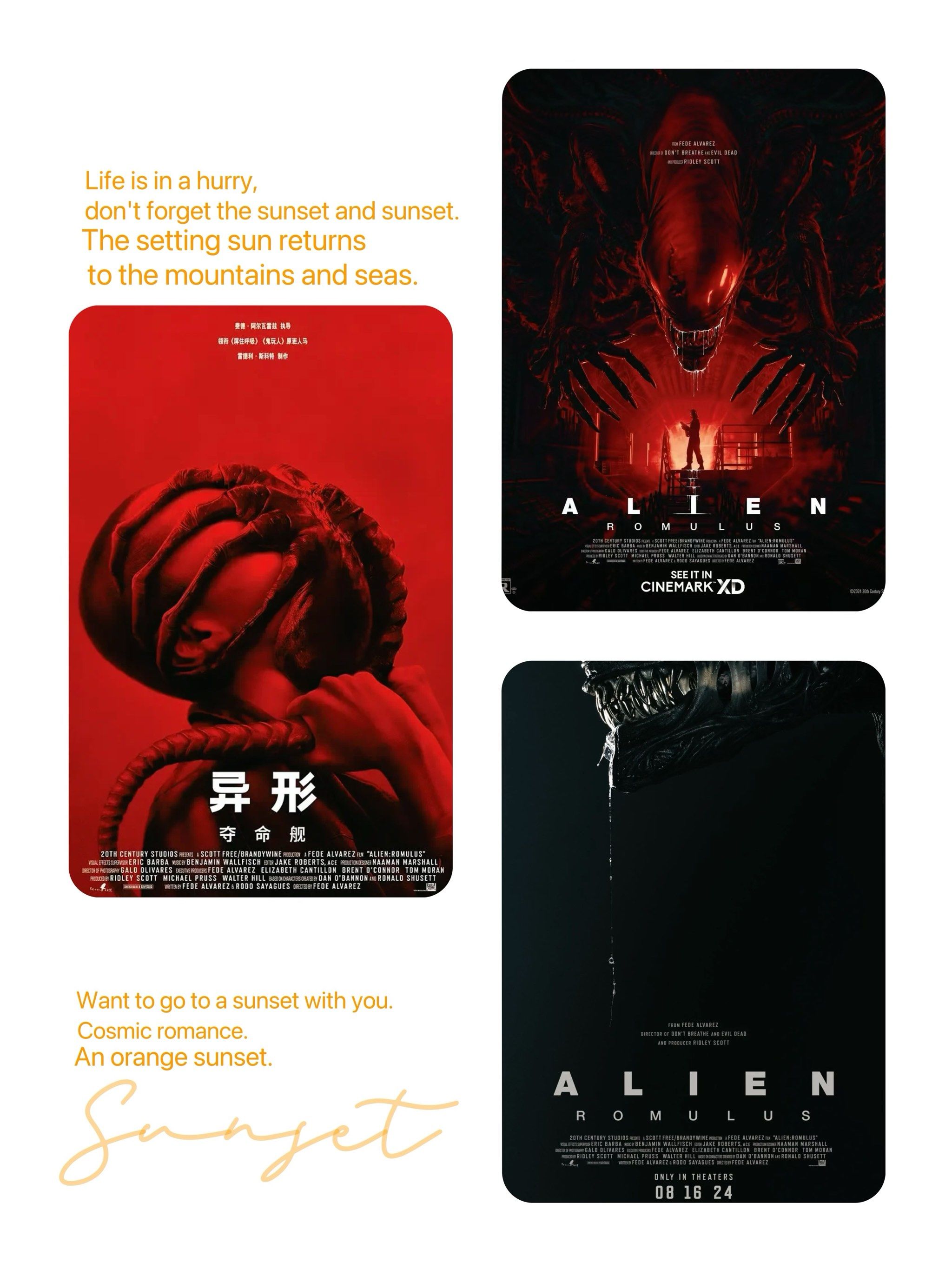 异形夺命舰推荐指缝观影