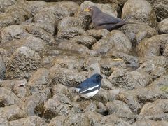 -苏州河梦清园环保主题公园