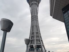 -宁波海天一洲景区