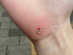 -不倒翁实景剧情密室逃脱(光明凤凰城站店)