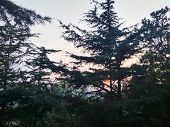 -信号山公园