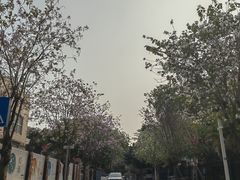 -景田北六街公园宠物主题园