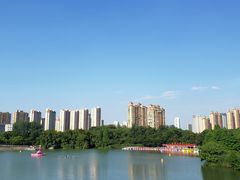 -青枫公园