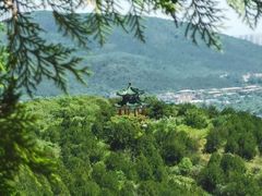 -北京西山国家森林公园