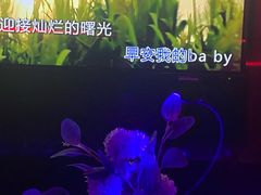 -星歌汇PARTY KTV•观澜兴万达店