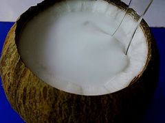 -椰爺爺·椰子冻砵仔糕