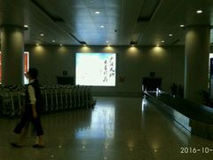 -温州龙湾国际机场