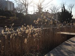 -一米阳光咖啡店(百通尚风尚水店)