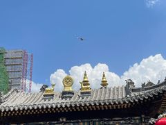 -一盏明灯全素斋(五爷庙店)