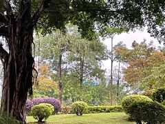 -南宁南湖公园