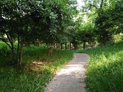 -徐家汇源景区-衡山公园