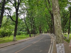-棒棰岛宾馆景区