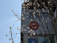 -漕溪路(地铁站)