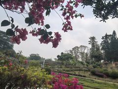 -东莞植物园