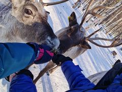 -北极村旅游风景区