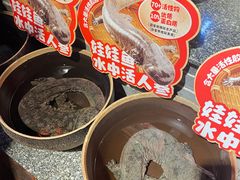 -印象鲵宴·张家界地标美食名片(溪布街店)