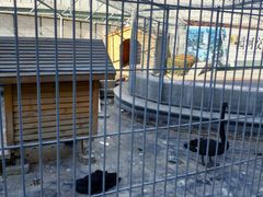 -北京园博大酒店