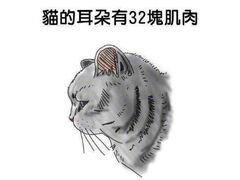 -豫楚源美猴王·面(武展店)