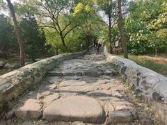 -阳台山自然风景区