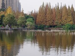 -成都南湖公园