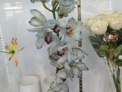 -双季花艺园艺市场(浦东店)