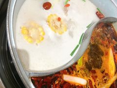 -青瓷火锅料理(西单大悦城店)