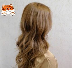 -JK奇积发型连锁机构（ART SALON）