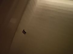 -舒小悦·舒养SPA·古法推拿(光环中心店)