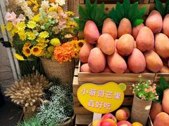-美罗城
