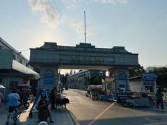 -长洲渡车船码头