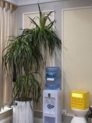 -美莱医疗美容医院