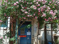 -北京大学燕东园