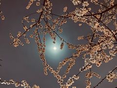 -安定门(地铁站)