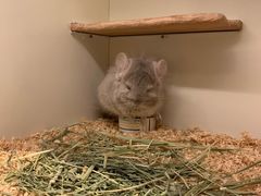 -龙猫仔乐园(惠福东路店)