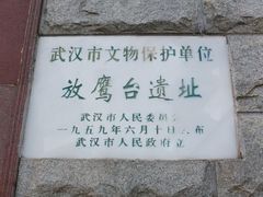-放鹰台遗址