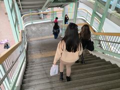 -大荣华酒楼(元朗老店)