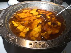 -雲蜀龙阁·金牌水煮鱼(方庄店)