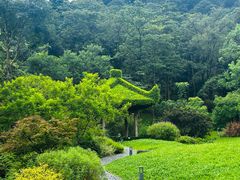 -云溪植物园