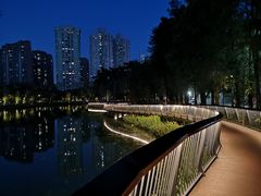 -四海公园(南山区)