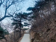 -北京西山国家森林公园