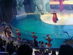 -三亚海昌梦幻海洋不夜城