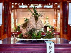 -上海植物园-4号门售票处