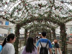 -冠军冰场(环球中心店)