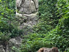 -黔灵山公园