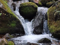 -五女峰国家森林公园